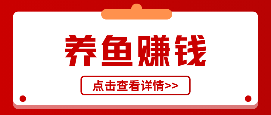 2024养鱼赚钱新趋势：揭秘养鱼业盈利真相，真实案例大起底！