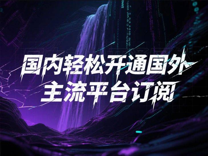 国内轻松开通国外主流平台订阅,包括 GPT、Netflix 和 OnlyFans 等平台-云推网创项目库