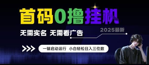 首码0撸挂G项目，无需实名无需看广告 一键启动运行，小白轻松日入三位数【揭秘】-云推网创项目库