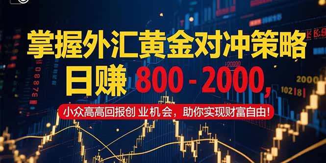 掌握外汇黄金对冲策略，日赚 800 – 2000，小众高回报创业机会，助你实…-云推网创项目库