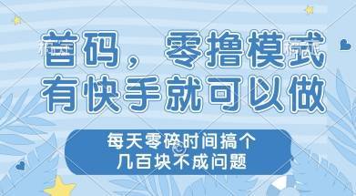 首码零撸项目，有快手就可以做，每天业务时间搞个几张不是问题【揭秘】-云推网创项目库