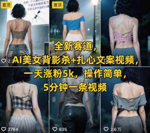 全新赛道，AI美女背影杀+扎心文案视频，一天涨粉5k，操作简单，5分钟一条视频-云推网创项目库