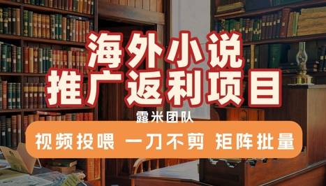 海外小说推广返利项目，视频投喂， 一刀不剪，矩阵批量-云推网创项目库