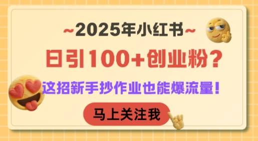 2025年小红书日引100+创业粉？这招新手抄作业也能爆流量！-云推网创项目库
