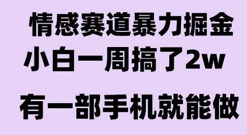 情感暴力掘金项目，新人操作一周挣了2W，长期稳定小白可做【揭秘】-云推网创项目库