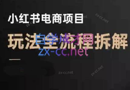 菲菲老师·小红书电商玩法(更新7月)-云推网创项目库