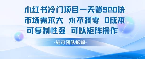 小红书冷门项目一天收益9张，市场需求大，0成本，可复制性强可以矩阵操作-云推网创项目库
