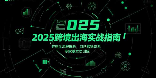 2025跨境出海实战指南，并购全流程解析，自创营销体系，专家基本功训练-云推网创项目库