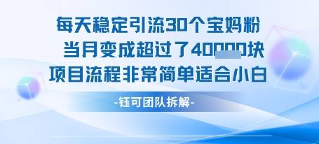 每天稳定引流30个人 当月变成超过了4个W项目流程非常简单适合小白-云推网创项目库