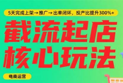 淘宝截流快速起店玩法，掌握暴力快速起店的流程-云推网创项目库