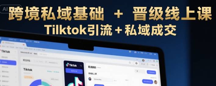 跨境私域基础+晋级线上课，Tilktok引流+私域成交-云推网创项目库