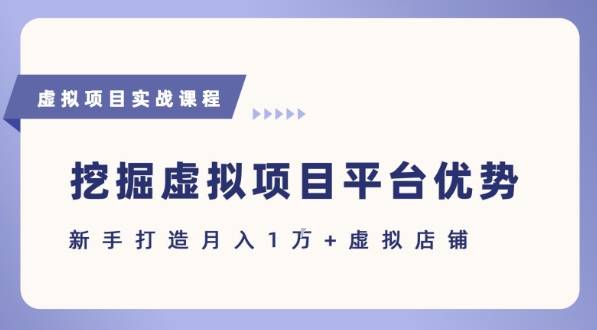 抓住虚拟项目各平台优势，新手轻松月入1W+(给出具体建议)-云推网创项目库