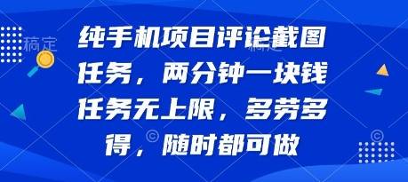 纯手机项目评论截图任务，两分钟一块钱 任务无上限多劳多得，随时随地都能做【揭秘】-云推网创项目库