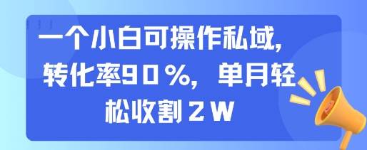一个小白可操作私域，转化率90%，单月轻松收割2W-云推网创项目库