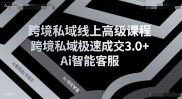 跨境私域线上高级课程，跨境私域极速成交3.0+Ai智能客服-云推网创项目库
