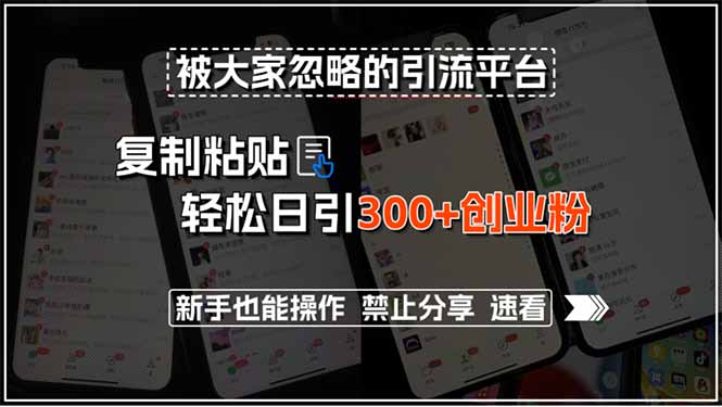 被大家忽略的引流平台，复制粘贴轻松日引300+创业粉，新手也能操作，禁…-云推网创项目库