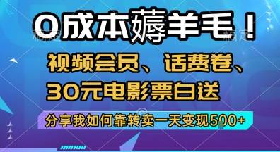 0成本薅羊毛!视频会员、话费卷、30元电影票白送，分享我如何靠转卖一天变现5张+【揭秘】-云推网创项目库