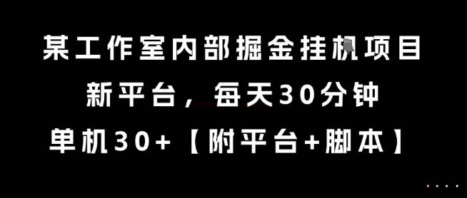 某工作室内部掘金挂G项目，新平台，每天30分钟，单机30+【揭秘】-云推网创项目库