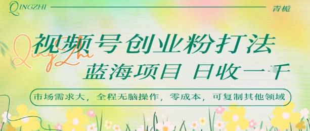 视频号创业粉打法，日入1k，蓝海项目，市场需求大，全程无脑操作，可复制-云推网创项目库
