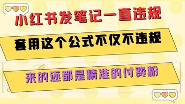 小红书发笔记一直违规，套用这个公式不仅不违规，来的还都是精准的付费粉-云推网创项目库