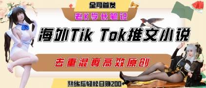 海外tiktok小说推文暴力项目，高停留率，高转化率，上手后一天搞顿饭钱不是问题-云推网创项目库