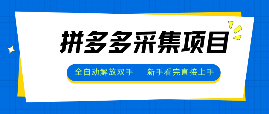 拼多多采集项目，全自动解放双手，单号日入30+-云推网创项目库