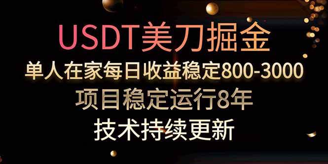 USDT美刀掘金，单人每日收益800-3000，稳定运行8年-云推网创项目库