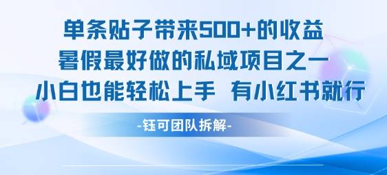 单条贴子带来5张的收益，暑假最好做的私域项目之一，小白也能轻松上手，有小红书就行-云推网创项目库
