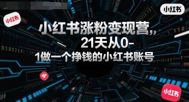 小红书涨粉变现营，21天从0-1做一个挣钱的小红书账号-云推网创项目库