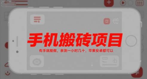 手机搬砖项目，有手就能做，亲测一小时几十，苹果安卓都可以-云推网创项目库