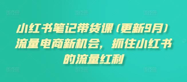 小红书笔记带货课(更新25年6月)流量电商新机会，抓住小红书的流量红利-云推网创项目库