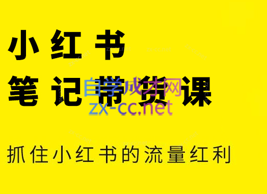 张宾·小红书笔记带货课(更新6月)-云推网创项目库