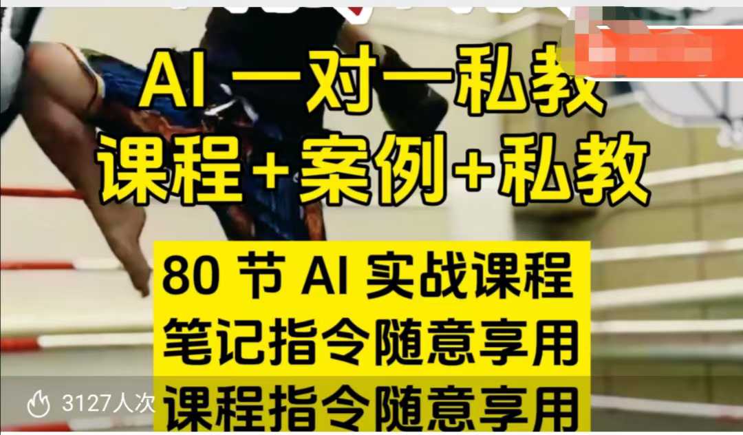 AI指令实战课，课程+案例，80节AI实战课程，笔记指令随意享用，课程指令随意享用(更新7月)-云推网创项目库