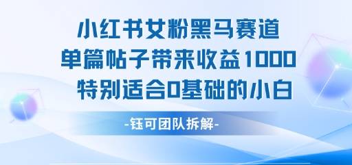小红书女粉黑马赛道单篇帖子带来收益1k+，特别适合0基础的小白-云推网创项目库