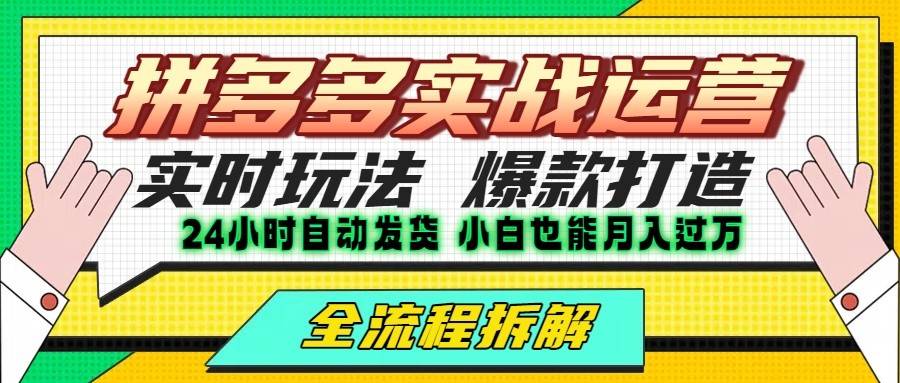 拼多多最新实战运营高投产：长久稳定项目，单店利润一天三位数-云推网创项目库