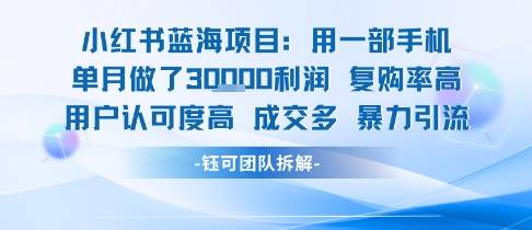 小红书蓝海项目，一部手机单月做了3W利润，小白也能月入过1W用户认可度高成交多-云推网创项目库