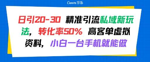 日引 20-30 精准引流私域新玩法，转化率50% 高客单虚拟资料，小白一台手机就能做-云推网创项目库