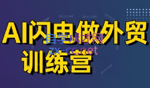 大卫·AI闪电做外贸训练营(更新7月)-云推网创项目库