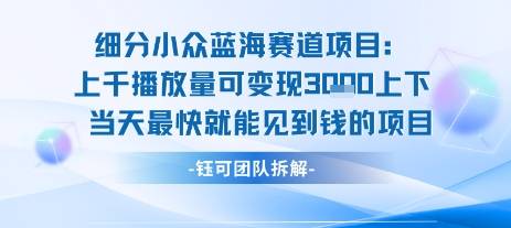 小众蓝海赛道项目：当天变现1k+适合新手操作 +适合长期玩-云推网创项目库