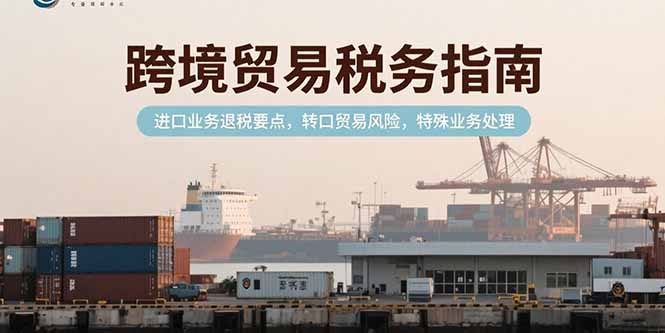 跨境贸易税务指南，进口业务退税要点，转口贸易风险，特殊业务处理-云推网创项目库