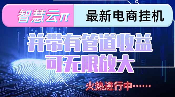 智慧云π电脑挂机单机每天收益300—500+ 并带有团队管道收益 可无限放大-云推网创项目库