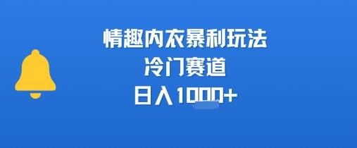 情趣内衣暴利玩法，冷门赛道，日入1k+-云推网创项目库