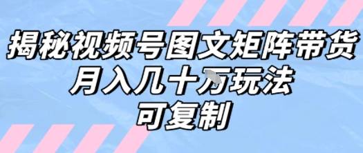 解密视频号图文矩阵带货，月入几个W的打法，可复制-云推网创项目库