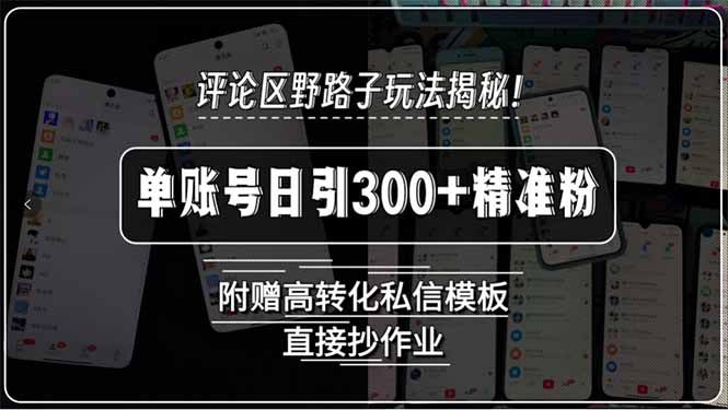 评论区野路子玩法揭秘！单账号日引300+精准粉，附赠高转化私信模板，直…-云推网创项目库