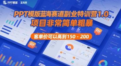 PPT模版蓝海赛道副业特训营1.0，项目非常简单粗暴，客单价可以高到150-200-云推网创项目库