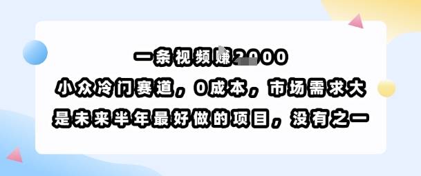 一条视频挣1k，小众冷门赛道，0成本，市场需求大，是未来半年最好做的项目，没有之一-云推网创项目库