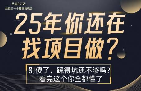 25年，你还在疯狂的找项目吗？别傻了，看完这个你都懂了【揭秘】-云推网创项目库