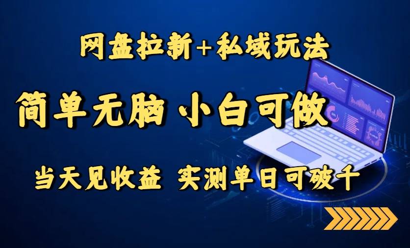 网盘拉新+私域玩法，简单无脑，小白可做，当天见收益，实测单日可破千-云推网创项目库
