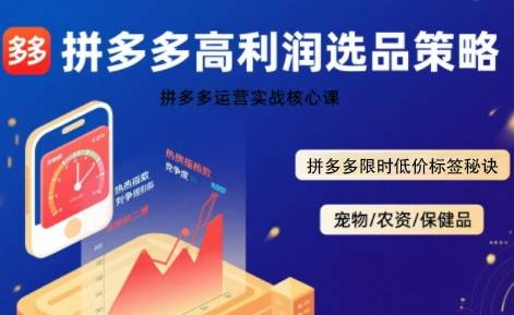 拼多多选品暴利技术实战课，拼多多高利润选品策略，拼多多限时低价标签秘诀-云推网创项目库