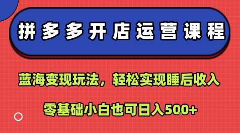 拼多多开店运营课程：蓝海变现玩法，轻松实现睡后收入，零基础小白也可日入5张-云推网创项目库